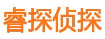 眉县市调查取证